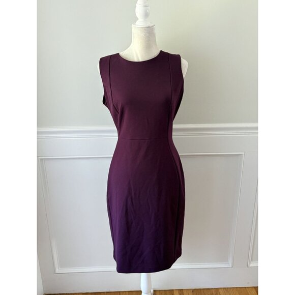 Calvin Klein Sleeveless Maroon Sheath Dress With Back Zipper & Fitted Silhouette - Picture 3 of 7
